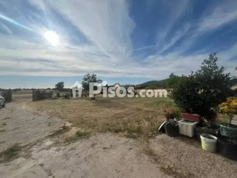 Jardin - Rustic House with Large Garden in Sur