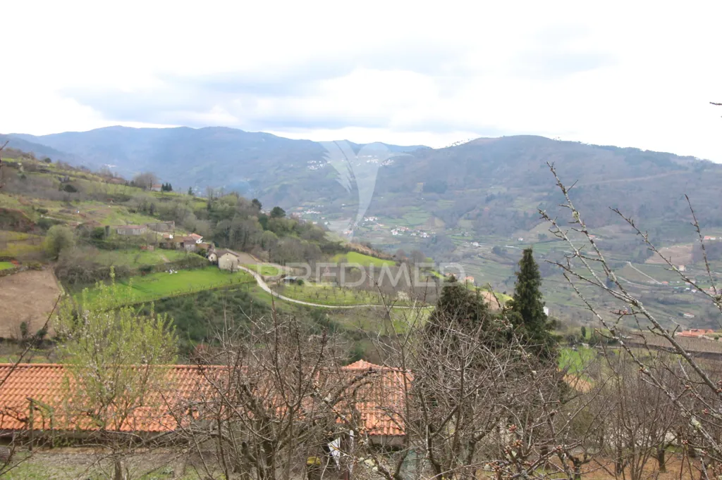 Jardin - Douro Vineyard with Water Source in Resende