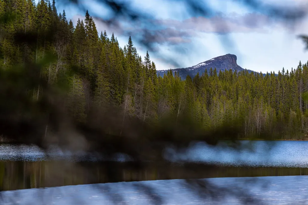 Forest Property with Lake View in Vassnäs
