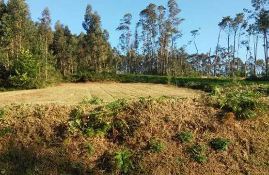 Aed - Rustic Finca with Development Potential in Bergondo