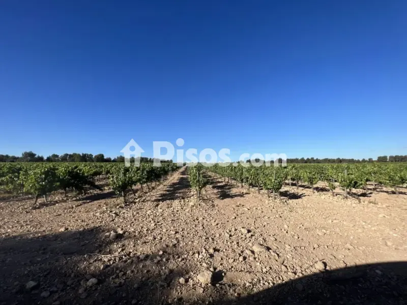 Jardin - Historic Finca with Vineyards in Requena