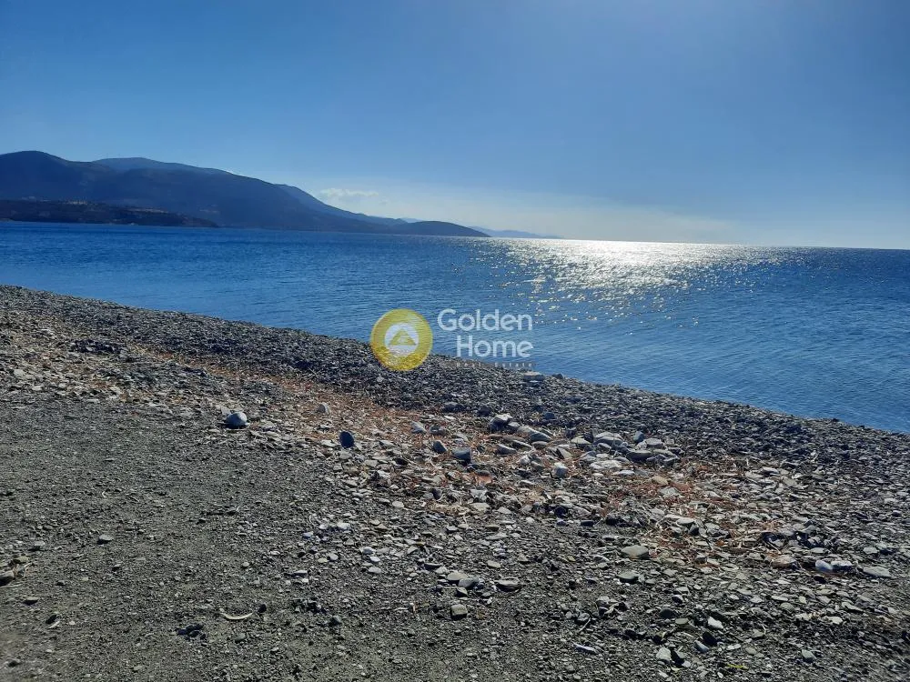 Beachfront Plot with Sea View in Tolophona