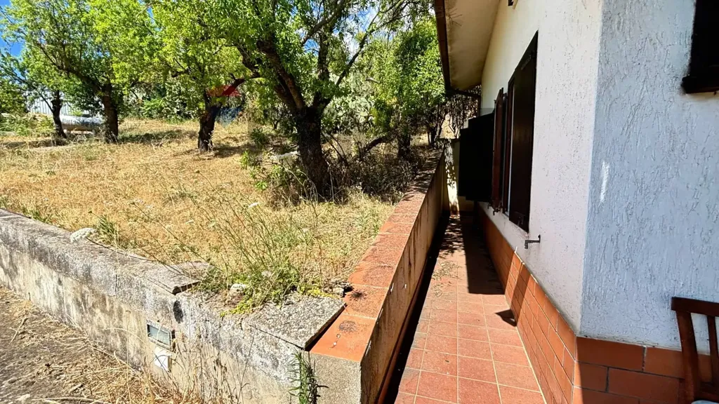 Terrass - Villa with Olive Grove in Alimena
