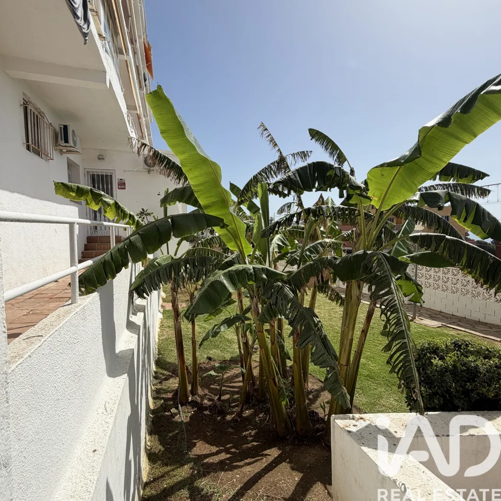 Jardin - Studio with Sea Views in Torremolinos