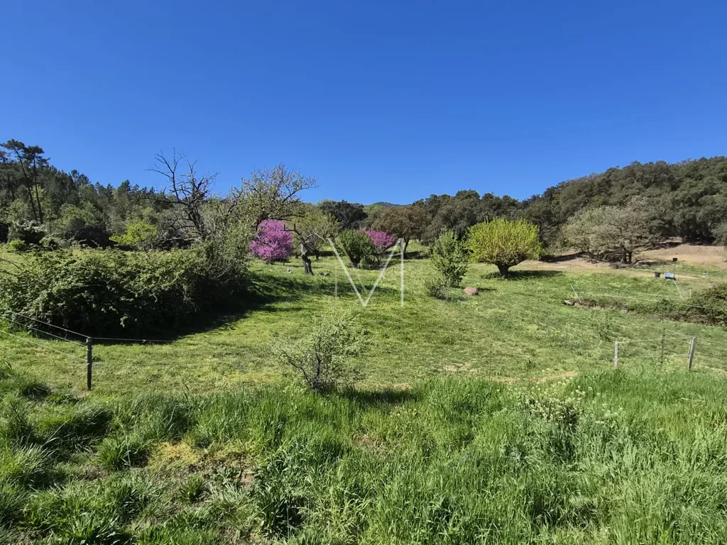 Jardin - Maison Luxueuse avec Piscine au Plan-de-la-Tour