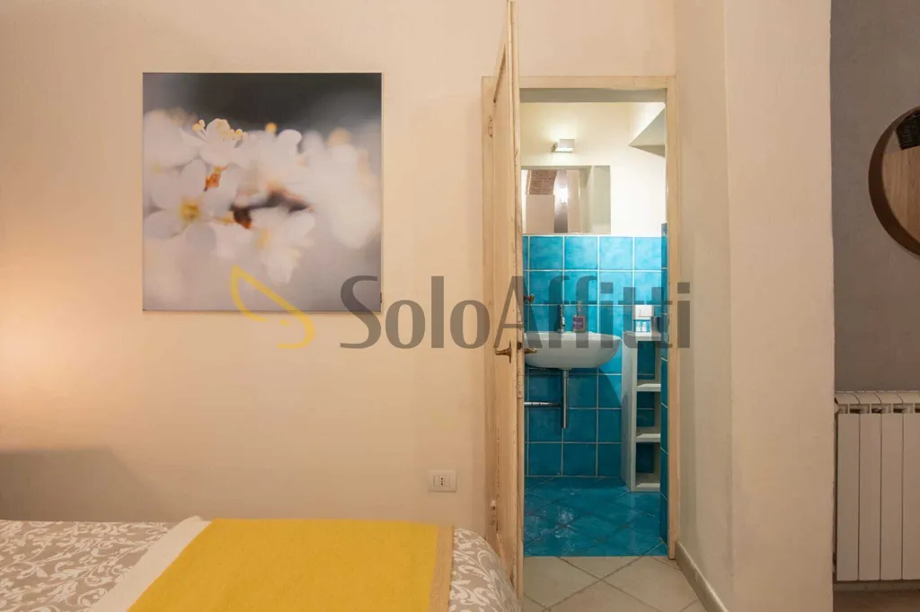 Magamistoad - Brightly Lit Studio in Central Florence