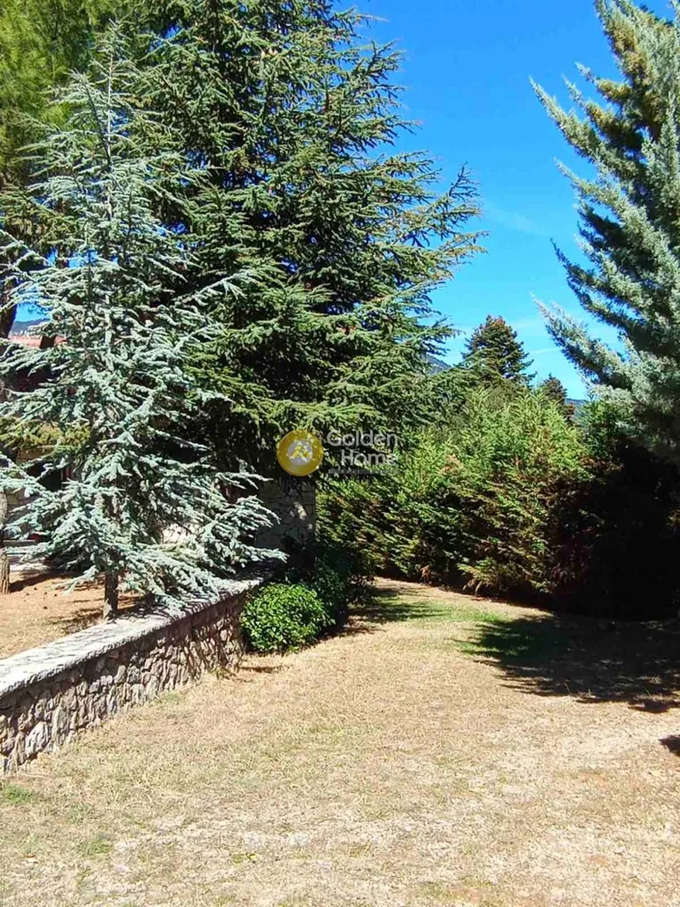 Garden - Villa with Mountain View in Amfissa