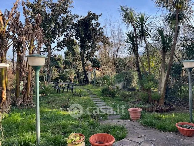 Jardin - Terraced House with Garden in Ceccano