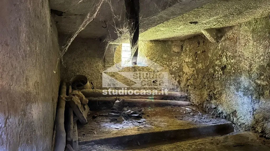 cellar