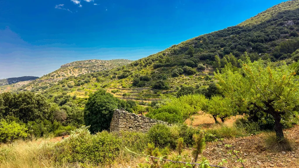 Aed - Eco-Resort Platform with DIC in Sierra Engarcerán