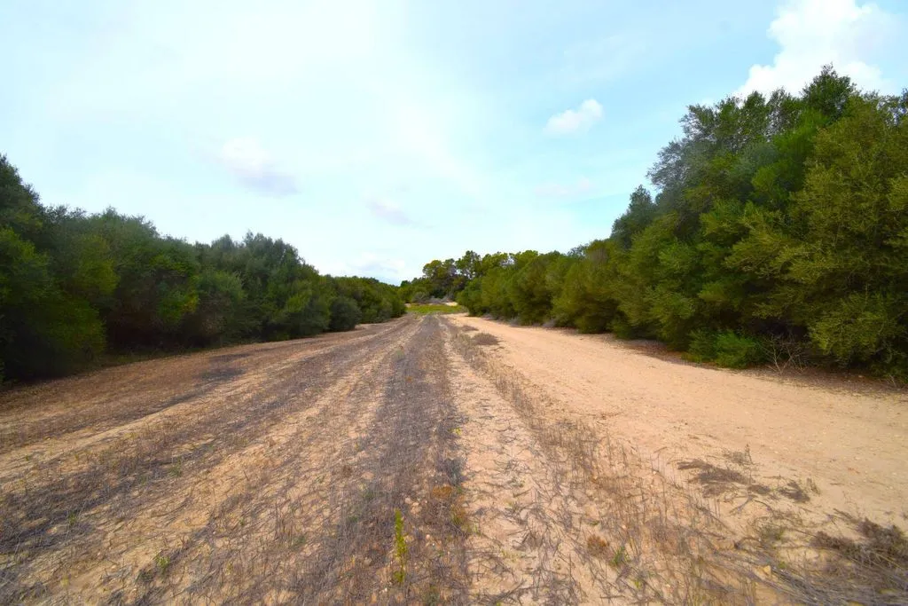 Aed - Rustic Plot with House Project in Muro