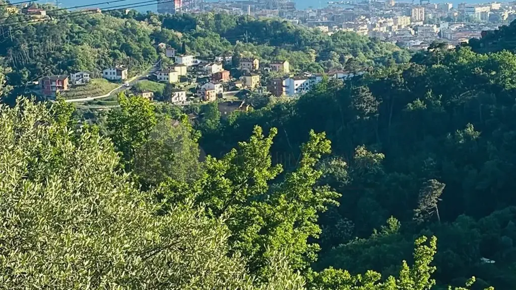 Villa with Sea View in Vezzano Ligure
