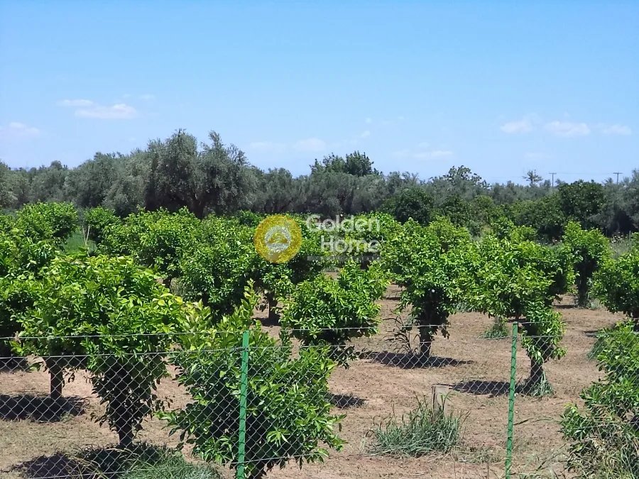 Jardin - Plot with Sea View in Diakopto - Elia