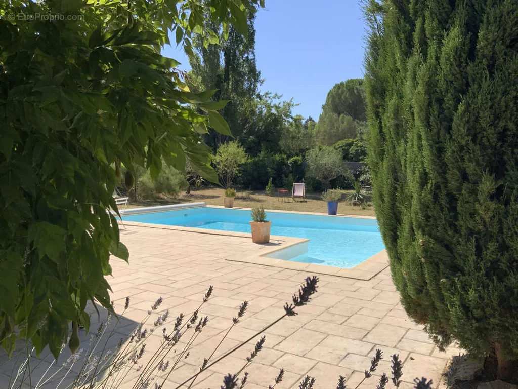 Piscine - Maison avec Piscine et Vue Jardin à Uzès