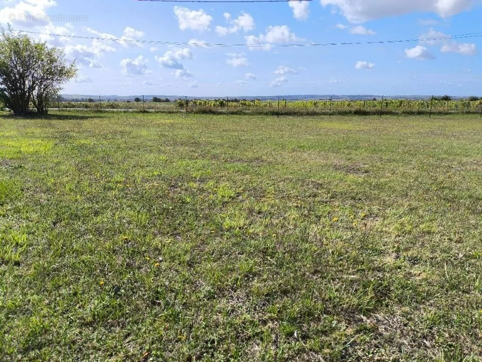 Aed - Plat Viabilised Plot in Châteauneuf-sur-Charente