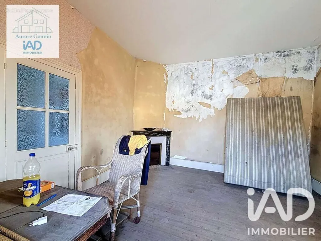 Toad - Former Forge with Apartment in Saint-Pierre-Le-Moutier