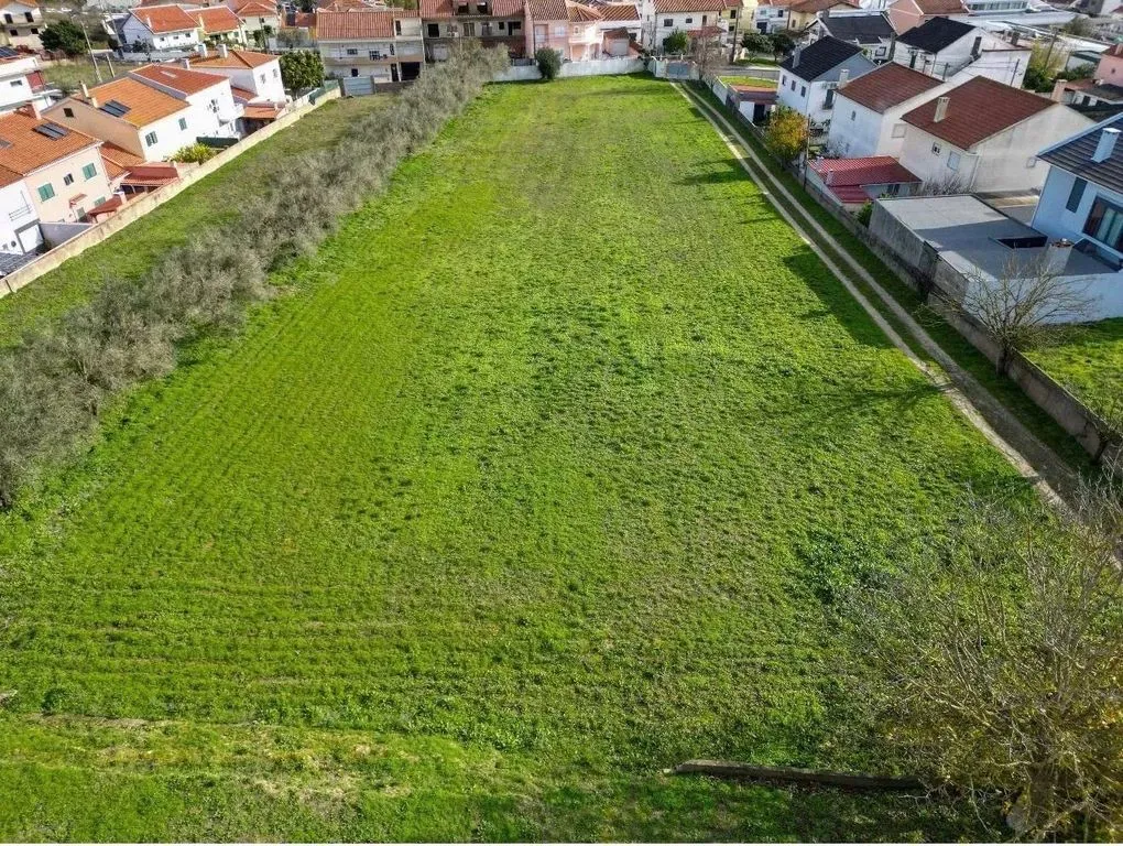 Vue aérienne - Building Land with Olive Trees near Lisbon