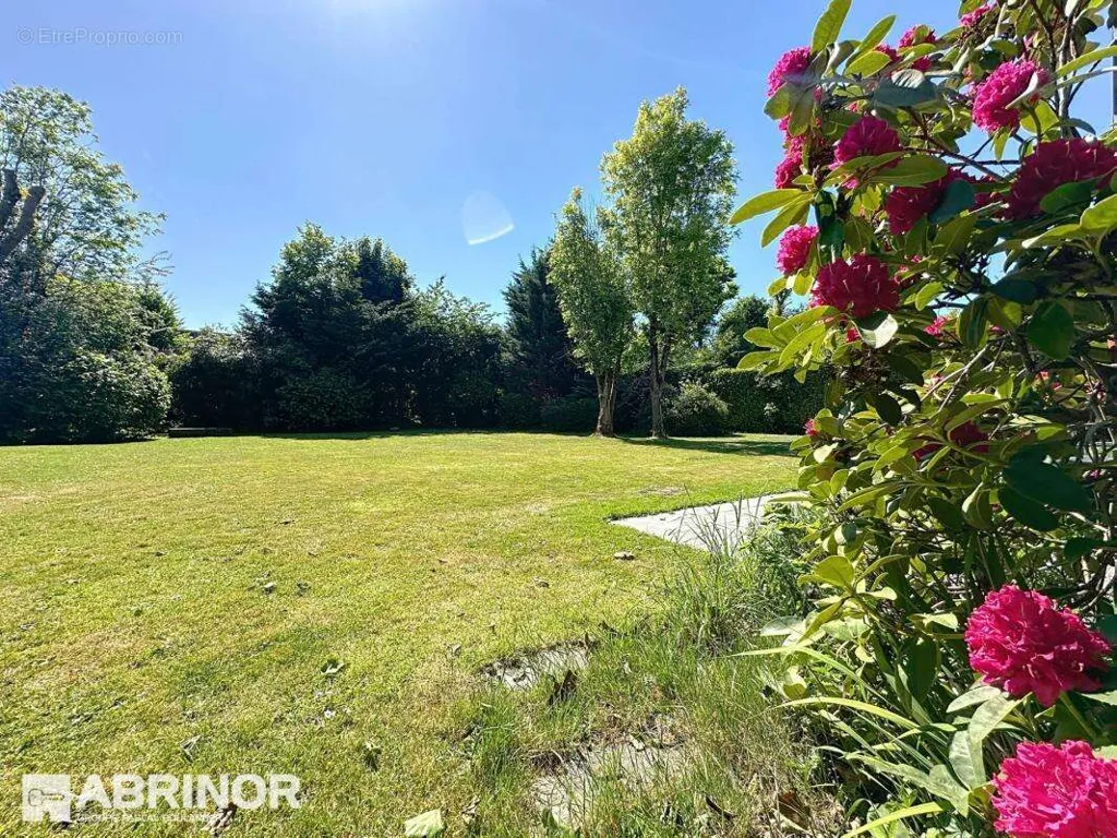 Jardin - Villa d'Architecte dans un Écrin de Verdure à Wasquehal