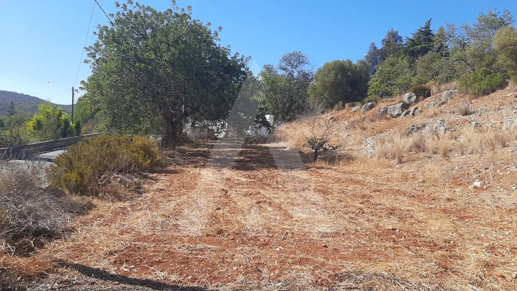 Aed - Restoration Plot with Mountain View near Faro