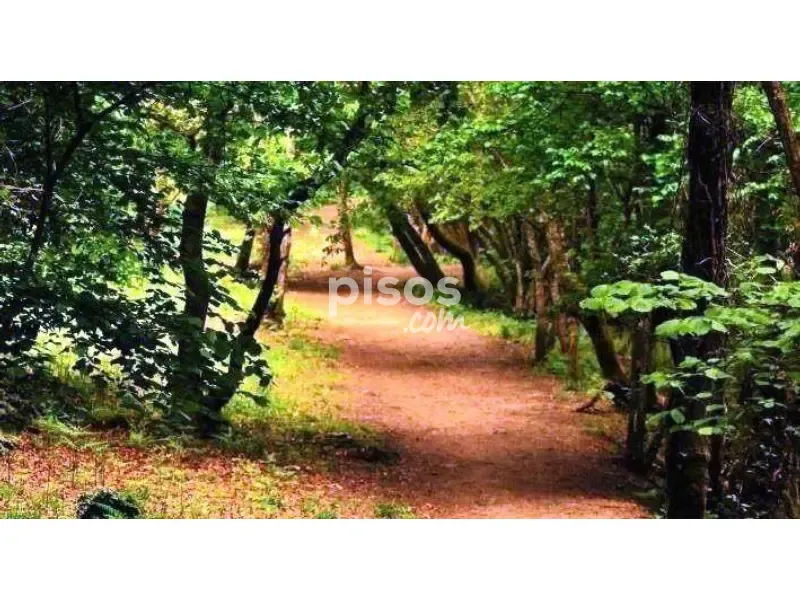 Garden - Rustic House with Natural Setting in Esgos
