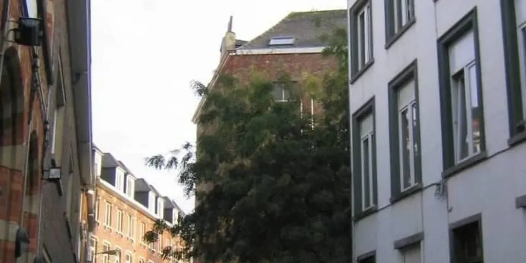 Välivaade - Central Flat with Balcony in Leuven