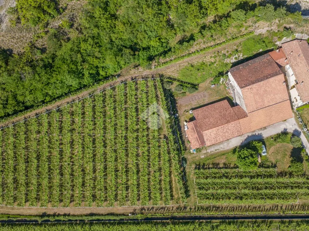 Aerial - Historic Maso with Vineyard in Mezzocorona