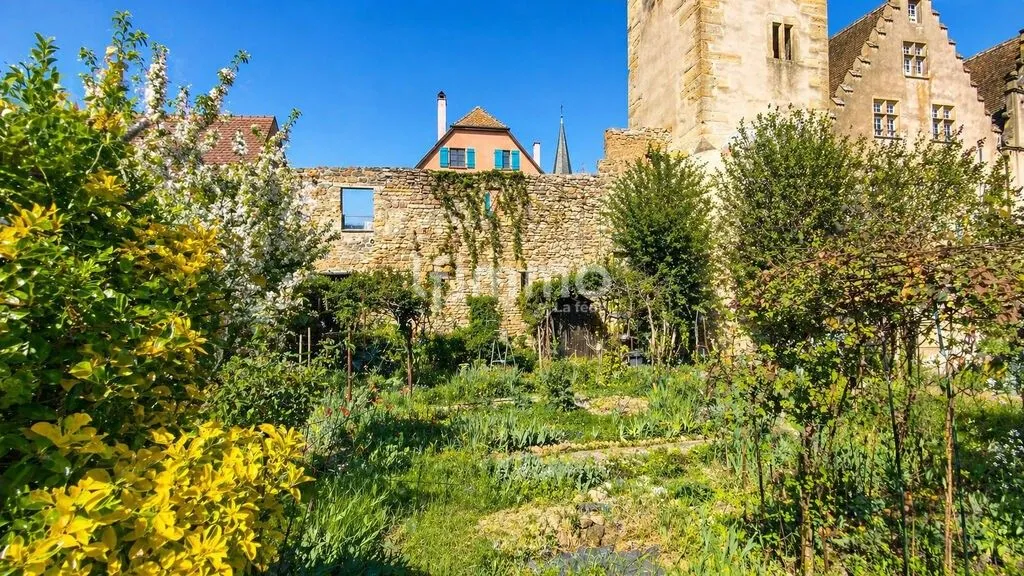 Jardin - Villa Historique avec Jardin à Rouffach