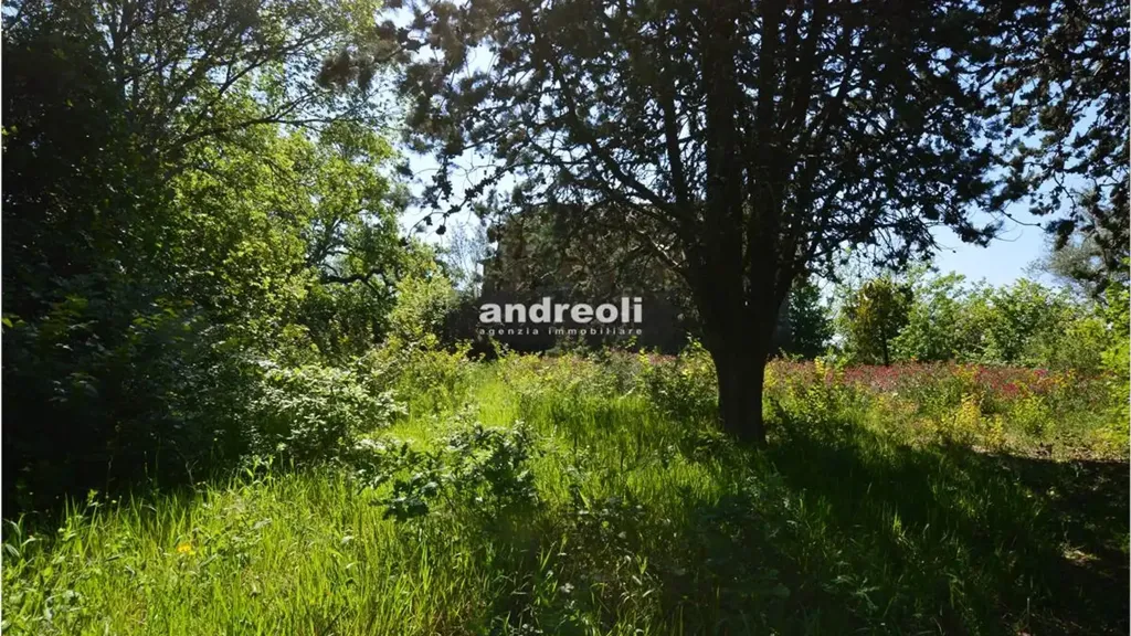 Garden - Rustic Property with Private Courtyard in Belvedere Ostrense