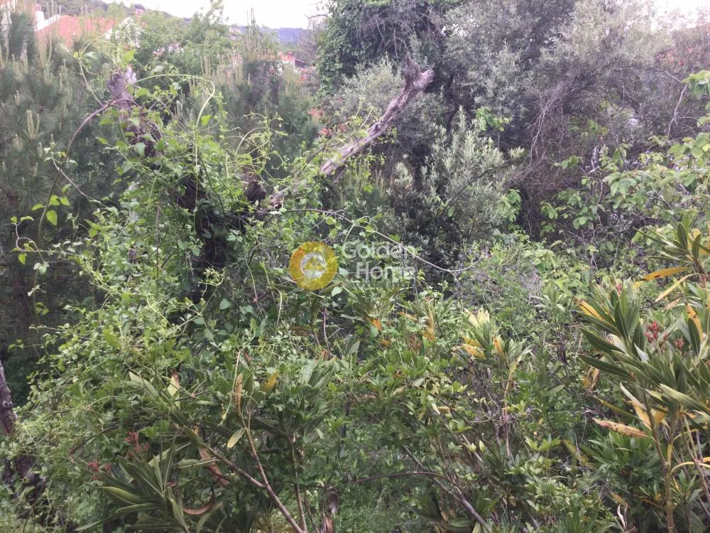 Aed - Buildable Plot with Mountain View in Peuka Centre