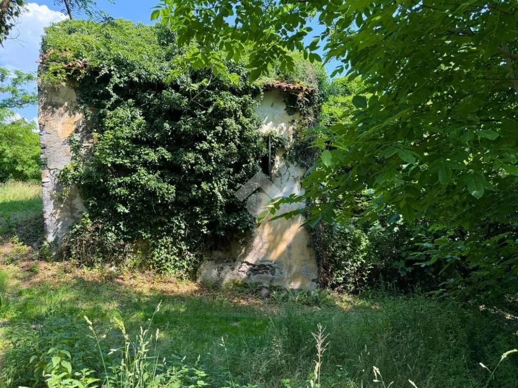 Garden - Rustic Cottage with Garden in Colceresa