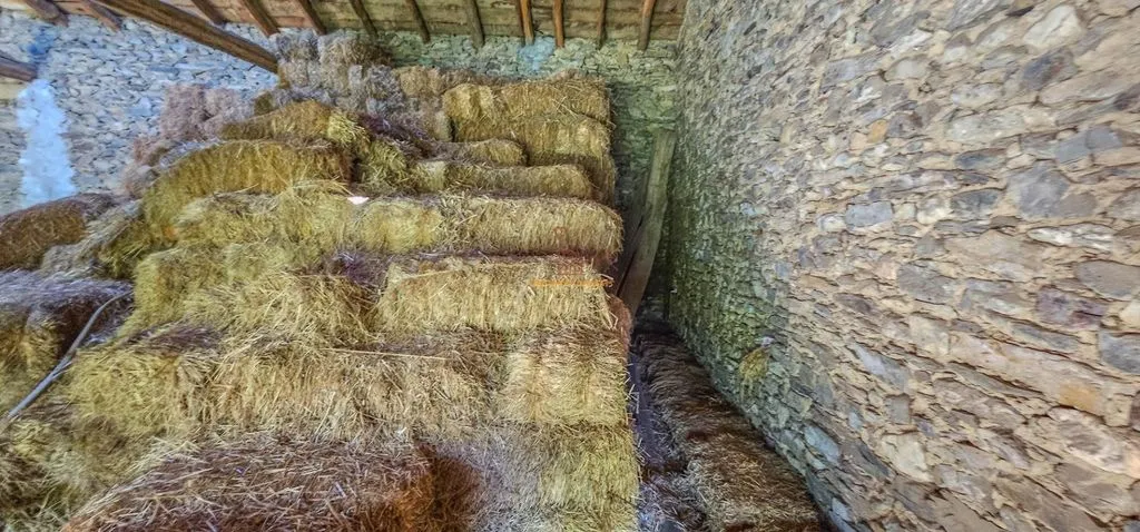Buanderie - Barn with Garden in Llívia, Pyrenees