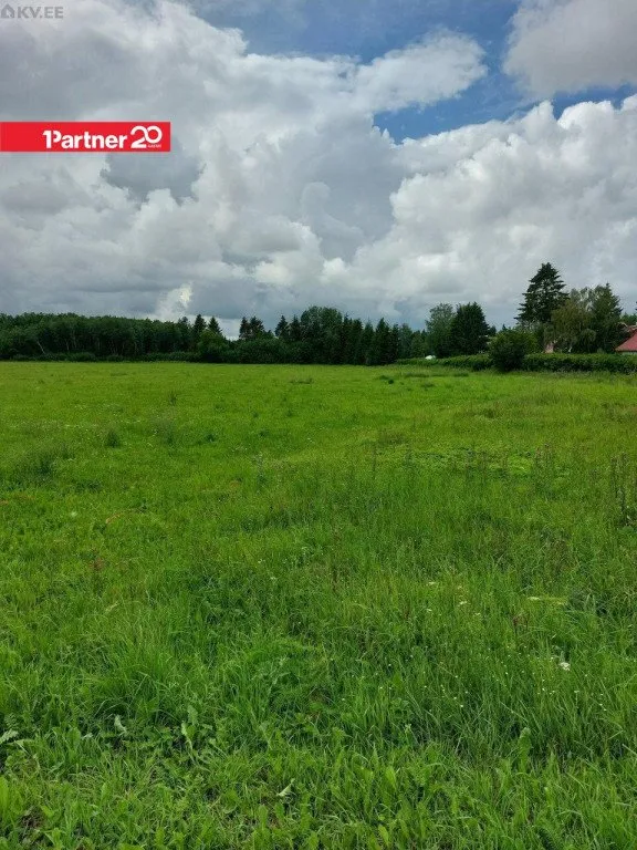 Aed - Land Plot with Farming Potential in Saue