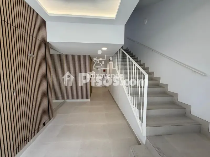 Toad - Luxury Apartment with Pool in Playa Den Bossa