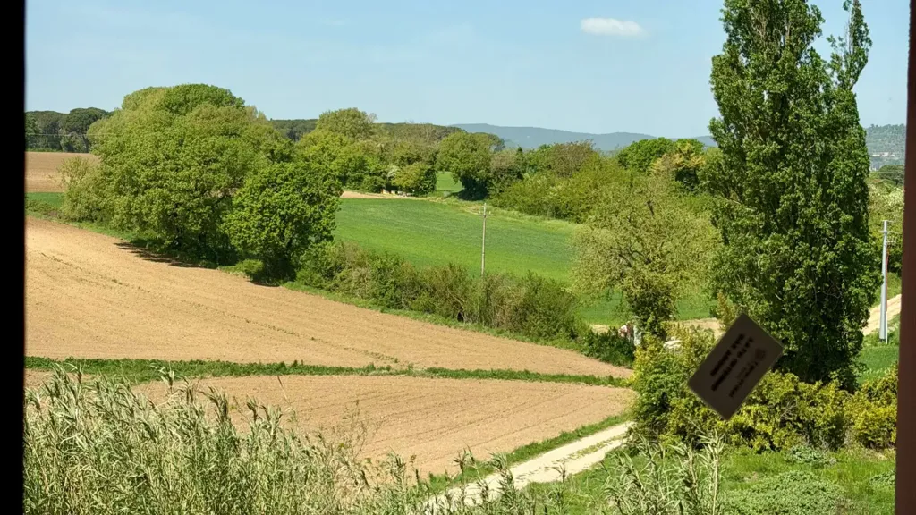 Garden - Villa Portion with Private Garden in Perugia