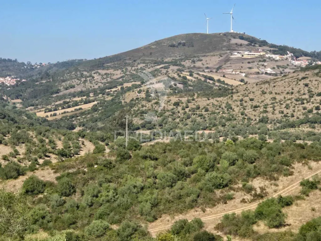 Rustic Land with Approved Project in Mafra