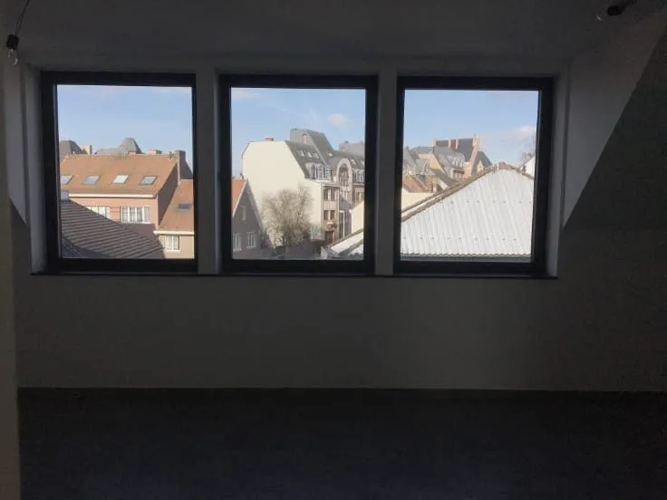 Toad - East-Facing Flat with Large Window in Halle