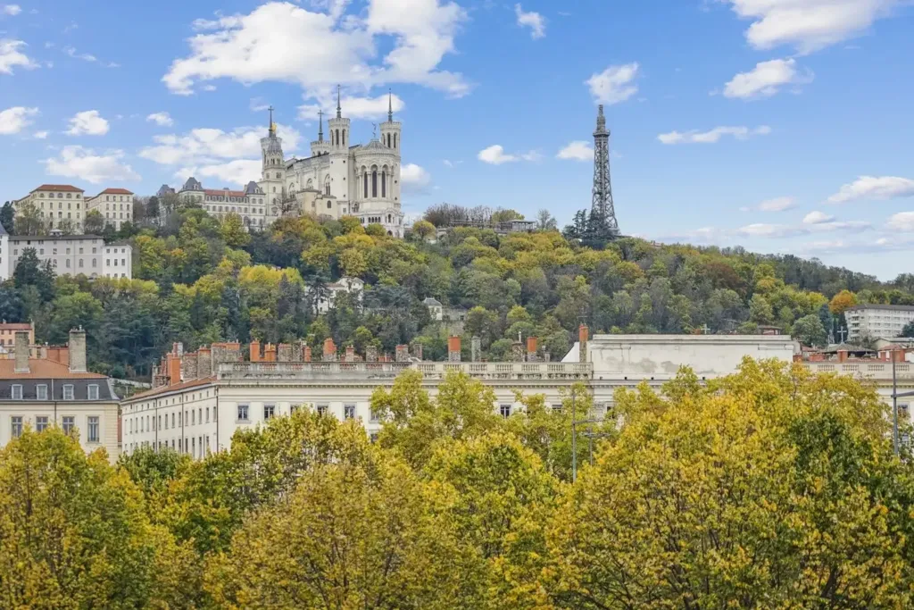 Luxury Flat with Historic Charm in Lyon