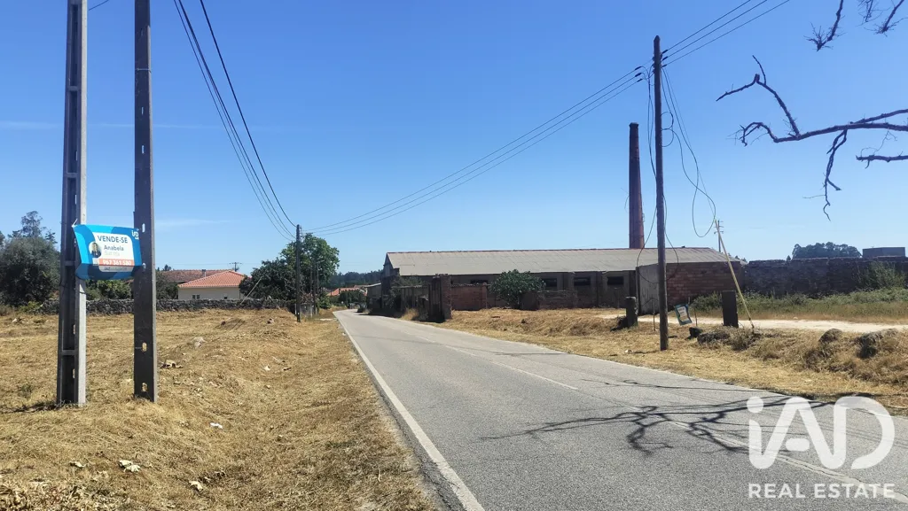 Rural Land with Expansion Potential in Tondela