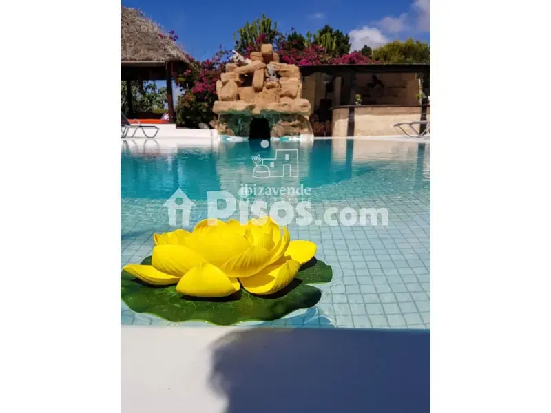 Pool - Villa with Sea Views in Cap Martinet