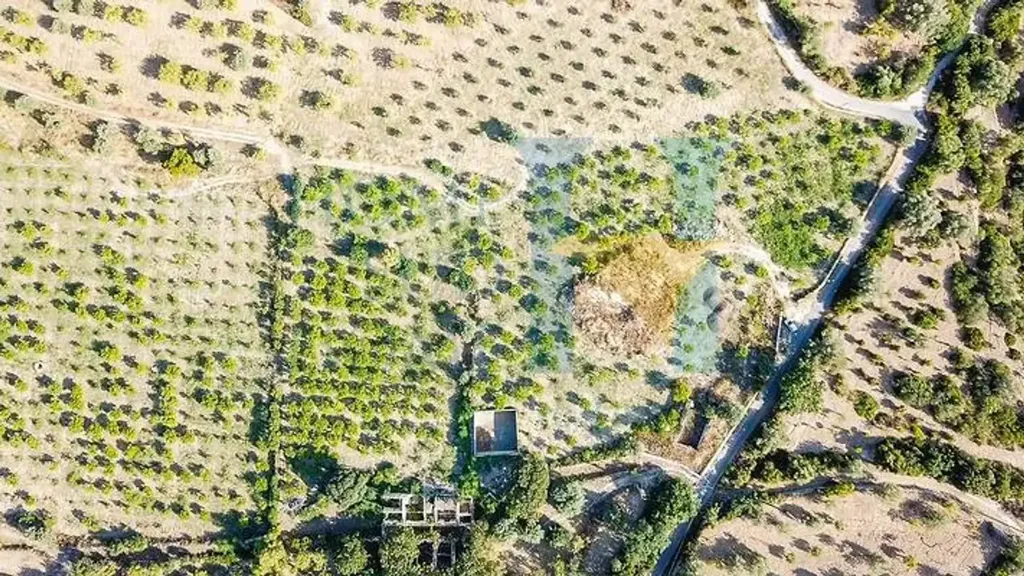 Vue aérienne - Historic Property with Olive Grove in Noto