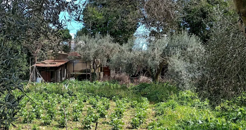 Garden - Agricultural Land with Existing Structures in Palazzolo Acreide