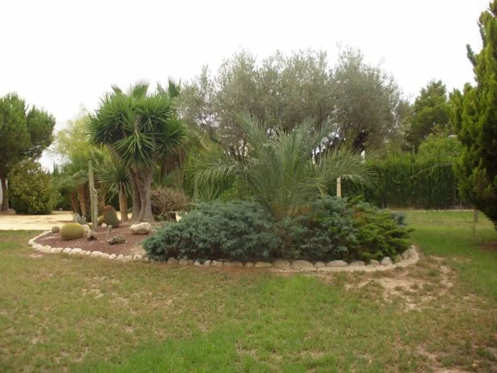 Jardin - Luxury Villa with Pool in Elche