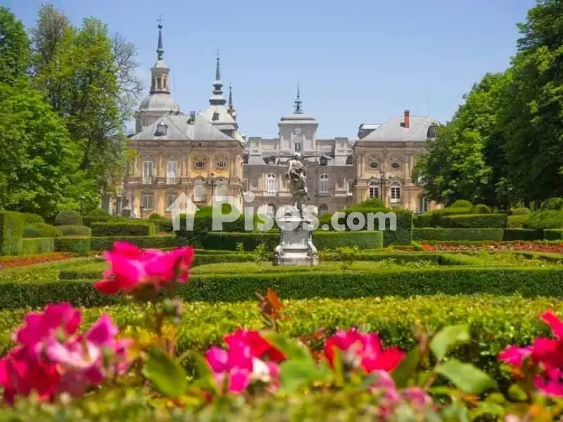 Jardin - Charming Duplex in Historic Centre, Segovia