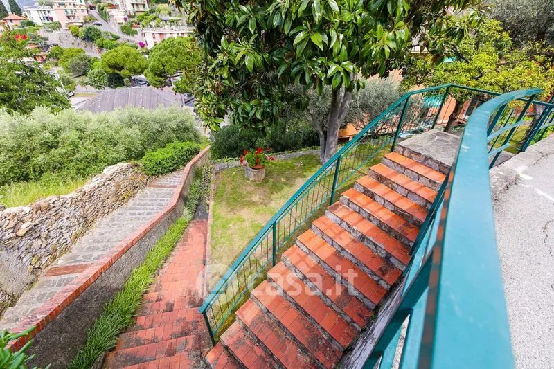 Toad - Bright Trilocale with Terraces in Camogli