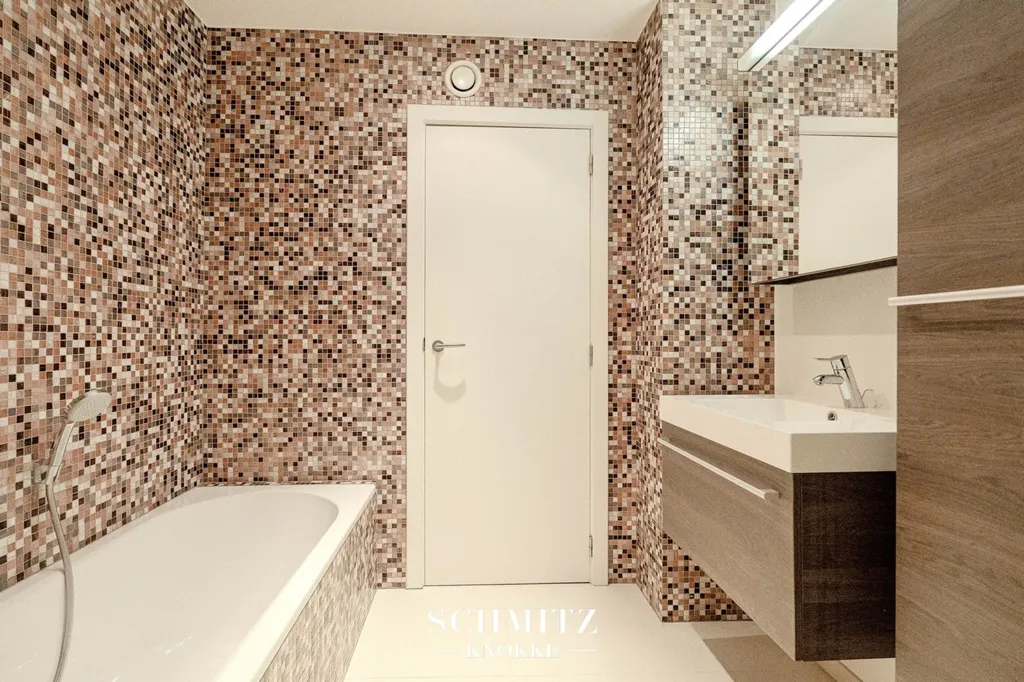 Salles de bain - Appartement Spacieux avec Terrasses sur Avenue Dumortier