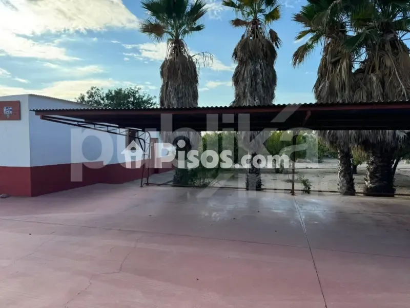 Jardin - Historic Villa with Archaeological Setting in Elche