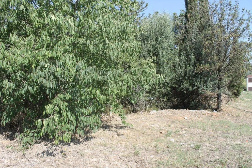 Jardin - Industrial Land in Olesa de Montserrat