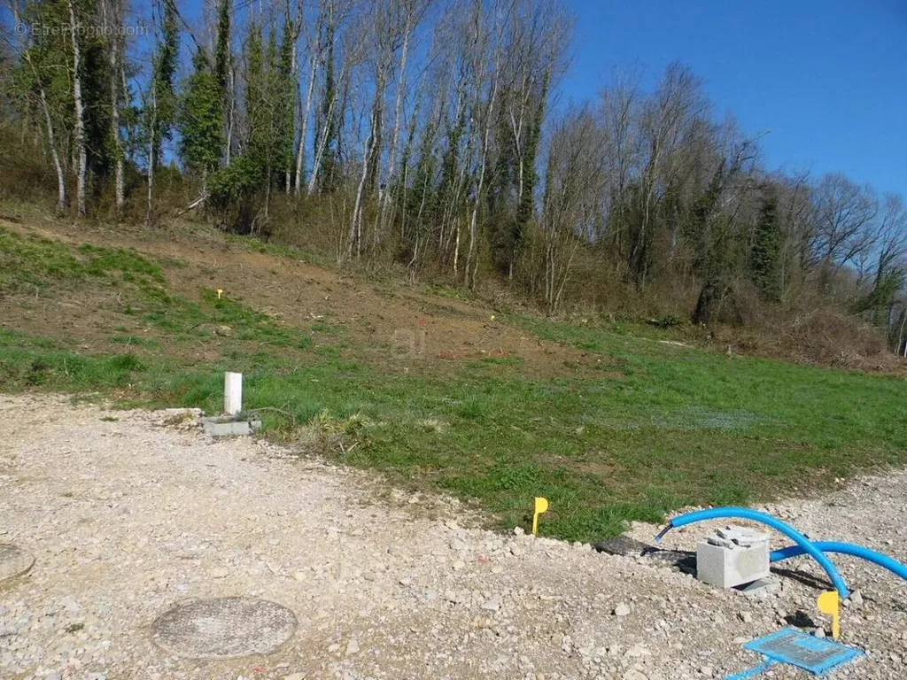 Aed - Viabilised Plot with Verdant Setting in Ain