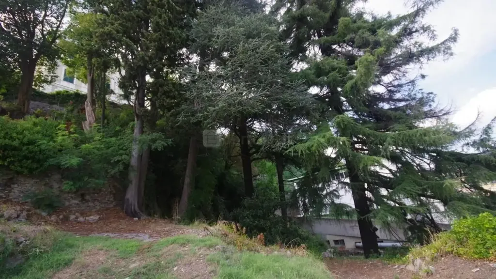 Aed - Spacious Apartment with Garden in Genoa