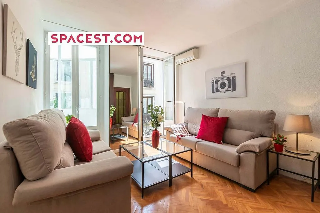 Living Room - Furnished Apartment with Terrace in Sol